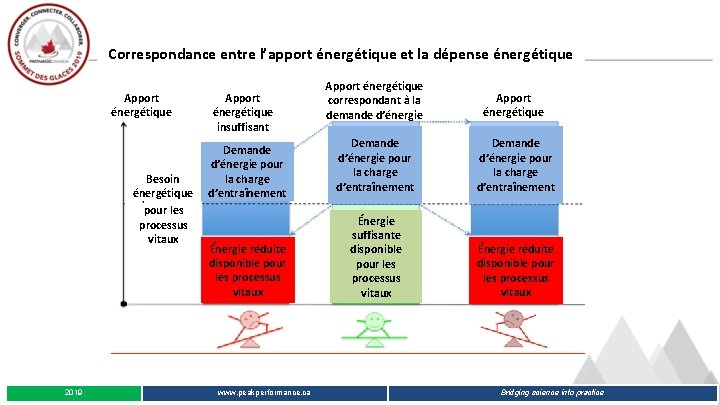 Correspondance entre l’apport énergétique et la dépense énergétique Apport énergétique Besoin énergétique pour les