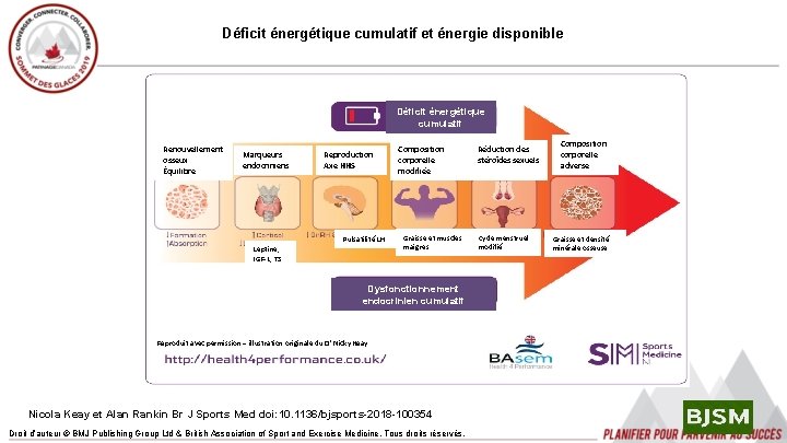 Déficit énergétique cumulatif et énergie disponible Déficit énergétique cumulatif Renouvellement osseux Équilibre Marqueurs endocriniens