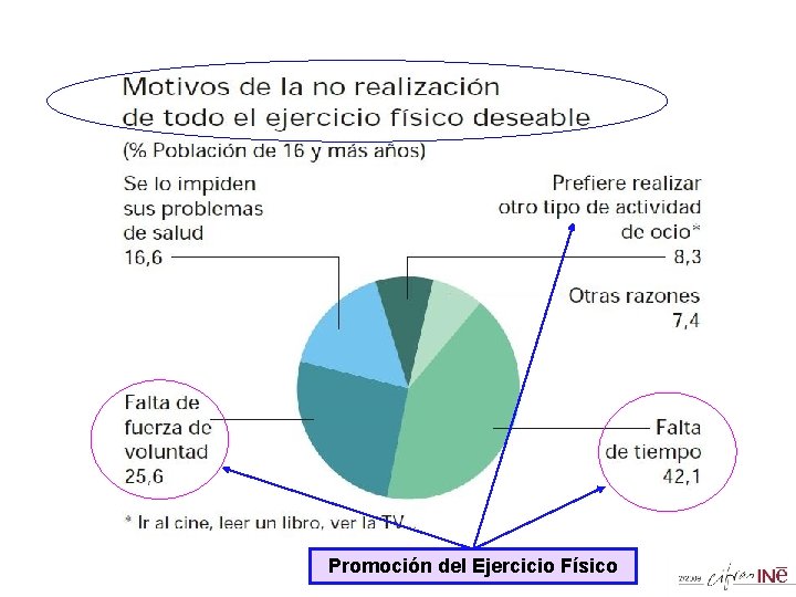 Promoción del Ejercicio Físico 