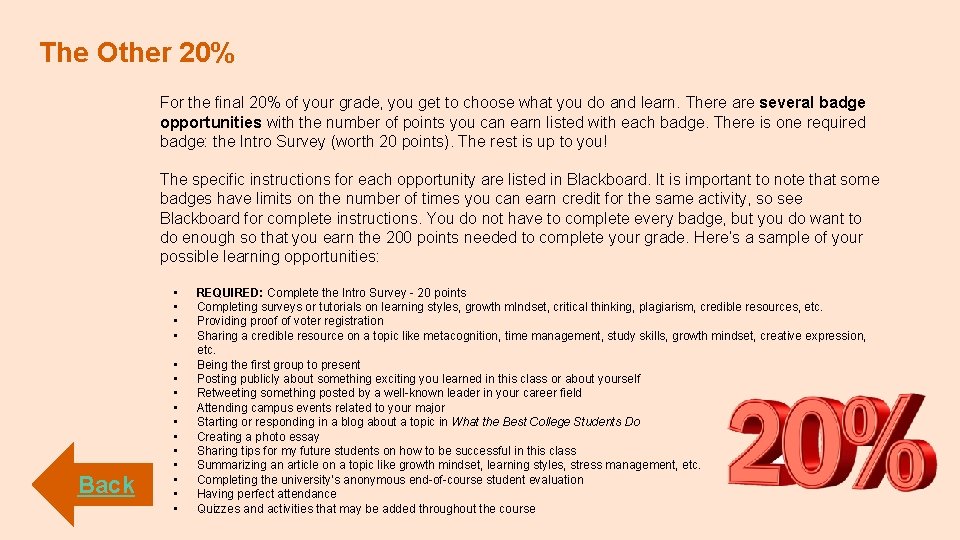The Other 20% For the final 20% of your grade, you get to choose