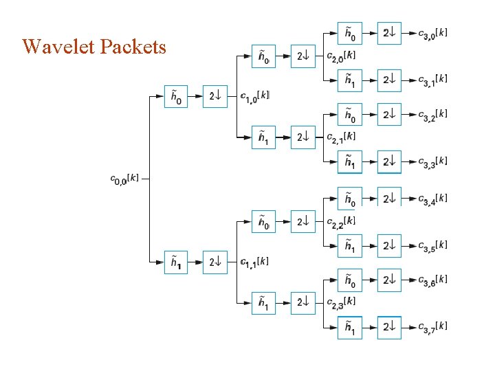 Wavelet Packets 