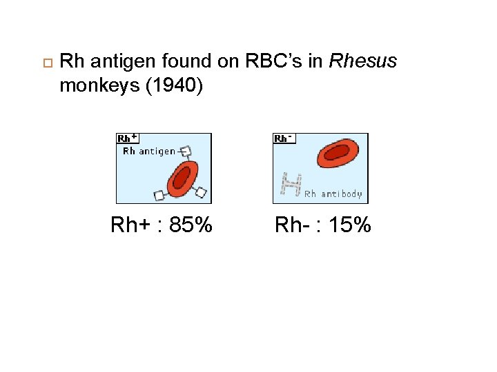  Rh antigen found on RBC’s in Rhesus monkeys (1940) Rh+ : 85% Rh-