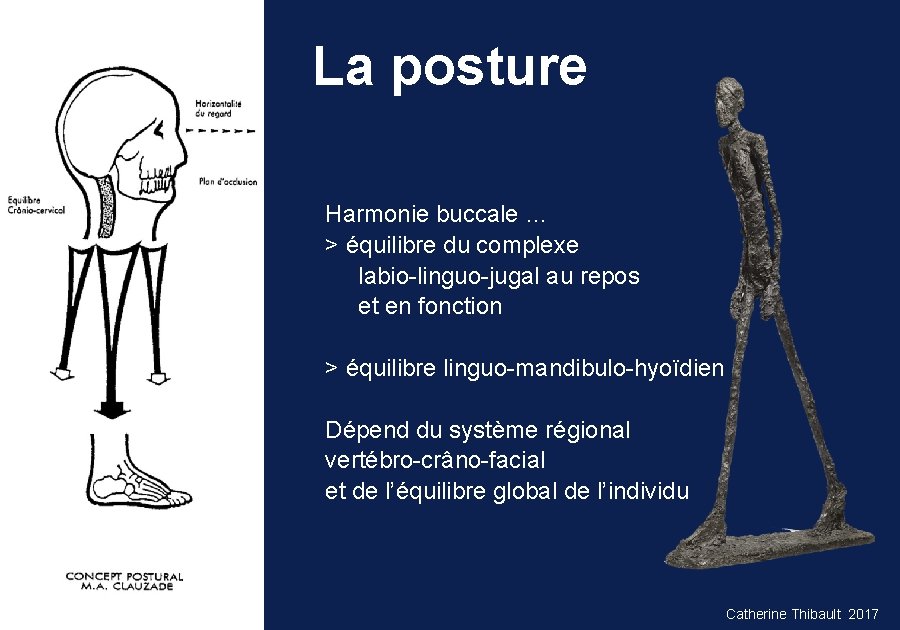 La posture Harmonie buccale … > équilibre du complexe labio-linguo-jugal au repos et en