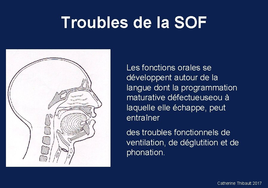 Troubles de la SOF Les fonctions orales se développent autour de la langue dont