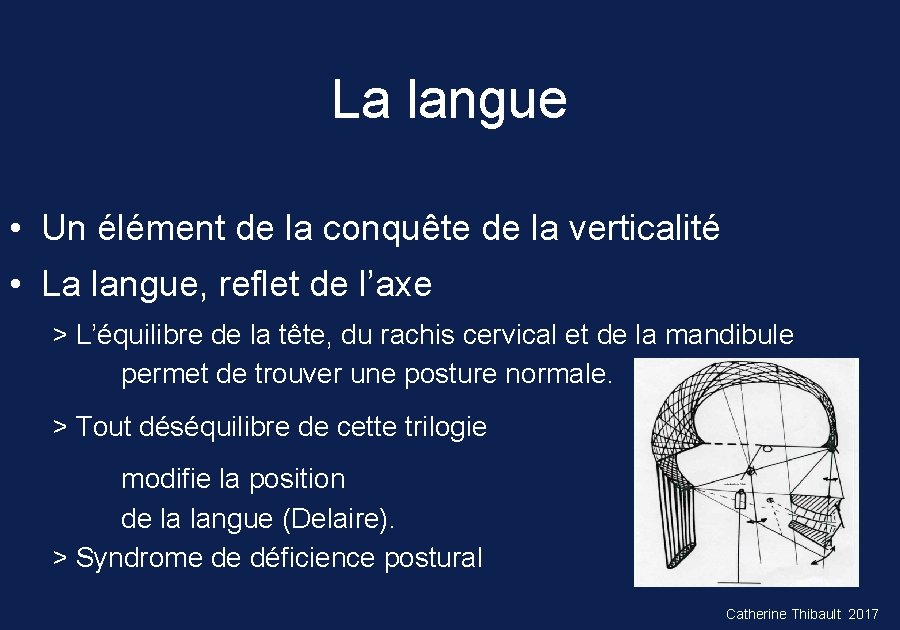 La langue • Un élément de la conquête de la verticalité • La langue,