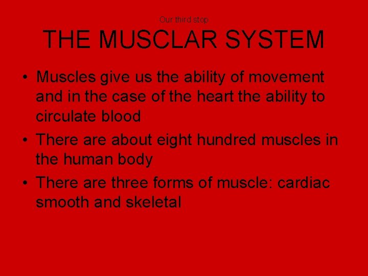 Our third stop THE MUSCLAR SYSTEM • Muscles give us the ability of movement