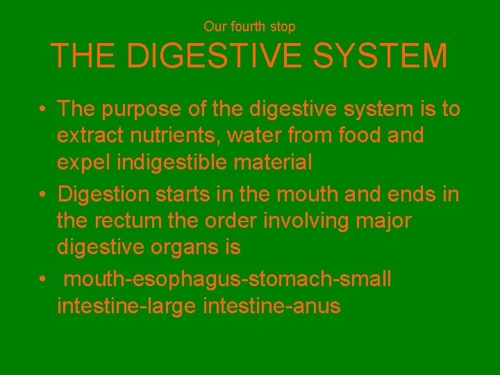 Our fourth stop THE DIGESTIVE SYSTEM • The purpose of the digestive system is