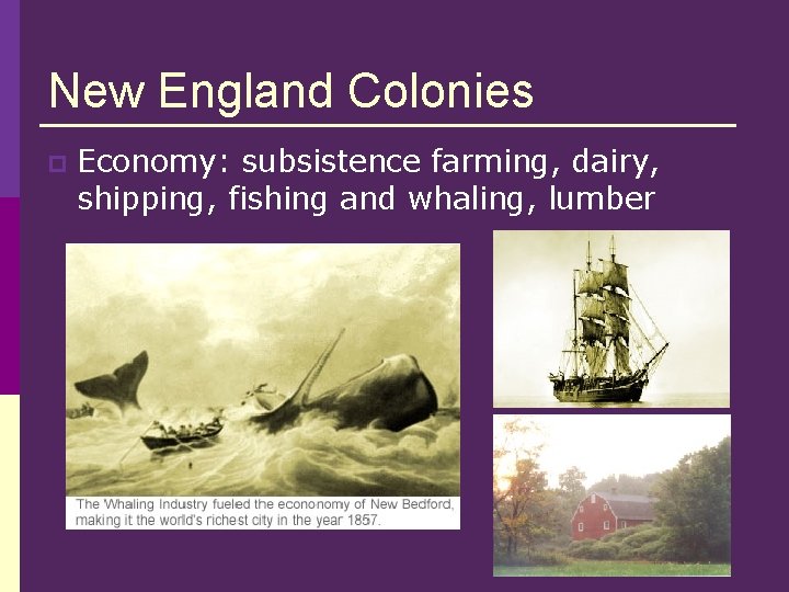 New England Colonies p Economy: subsistence farming, dairy, shipping, fishing and whaling, lumber  New England Colonies p Economy: subsistence farming, dairy, shipping, fishing and whaling, lumber