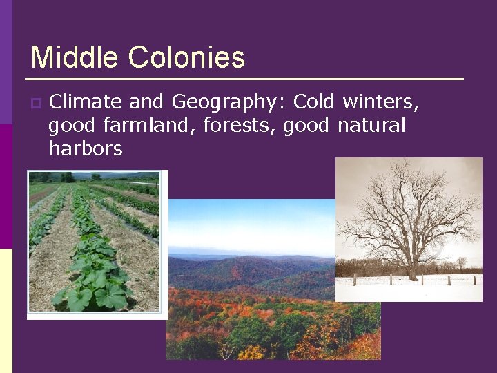 Middle Colonies p Climate and Geography: Cold winters, good farmland, forests, good natural harbors