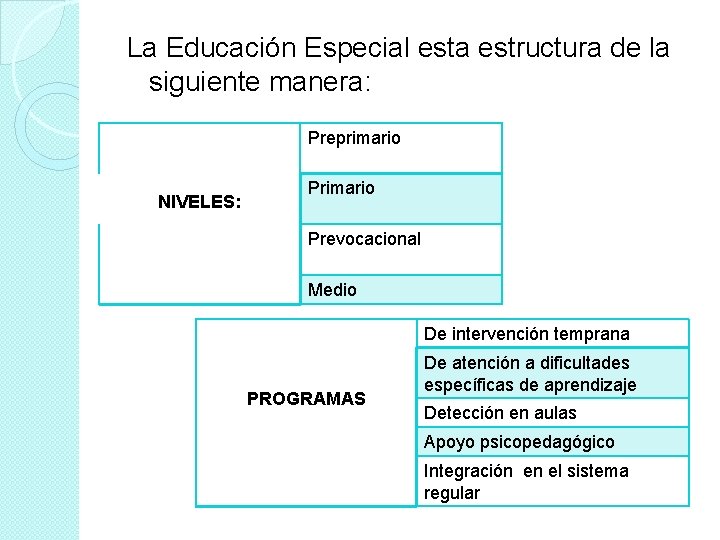 La Educación Especial esta estructura de la siguiente manera: Preprimario NIVELES: Primario Prevocacional Medio