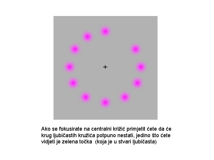 Ako se fokusirate na centralni križić primjetit ćete da će krug ljubičastih kružića potpuno