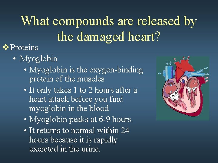 What compounds are released by the damaged heart? v Proteins • Myoglobin is the