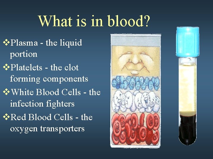 What is in blood? v. Plasma - the liquid portion v. Platelets - the