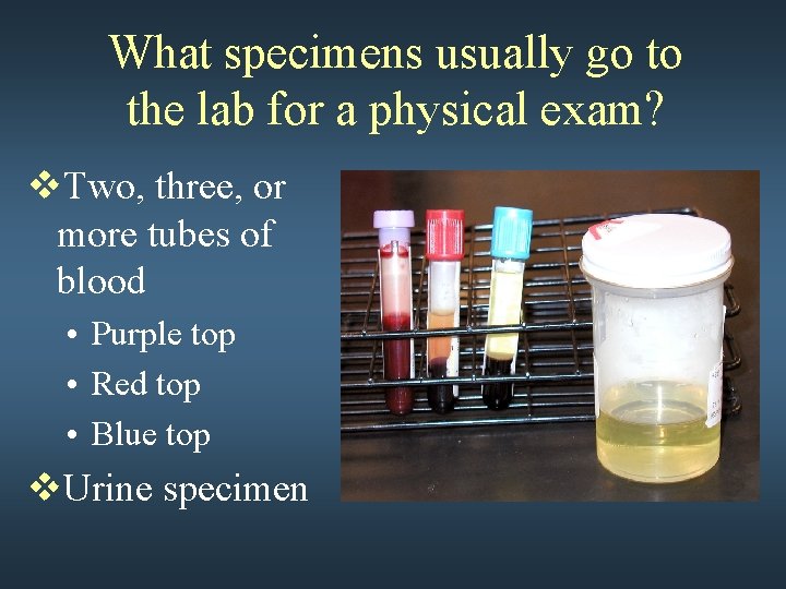 What specimens usually go to the lab for a physical exam? v. Two, three,