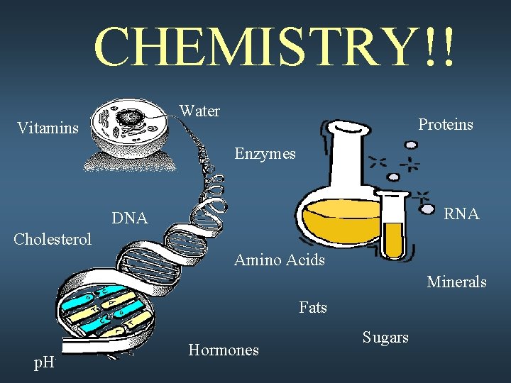 CHEMISTRY!! Water Vitamins Proteins Enzymes RNA DNA Cholesterol Amino Acids Minerals Fats p. H