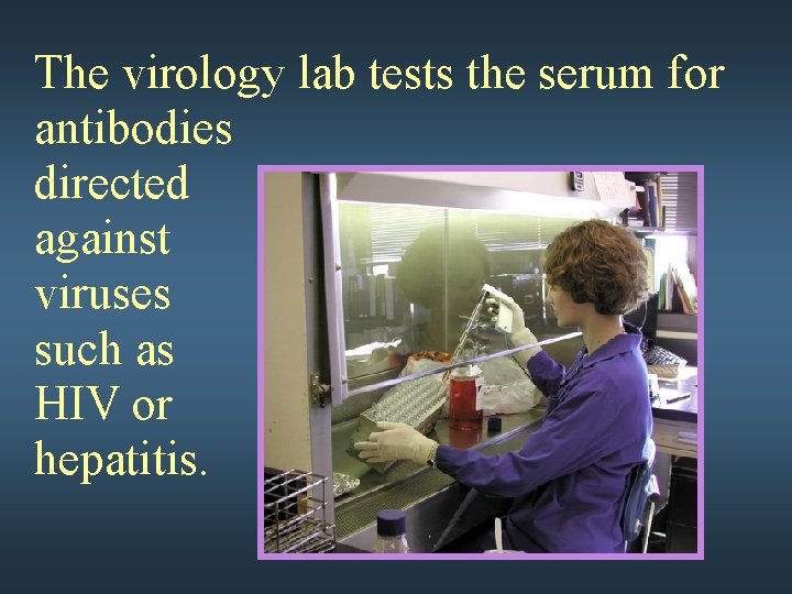 The virology lab tests the serum for antibodies directed against viruses such as HIV