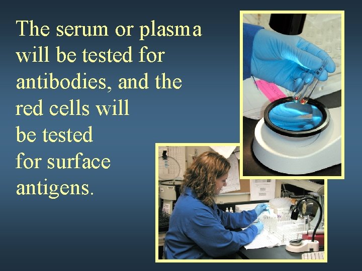 The serum or plasma will be tested for antibodies, and the red cells will