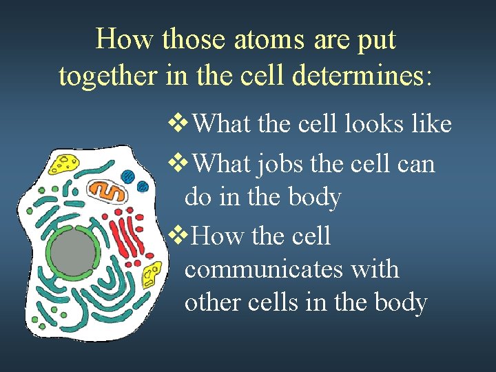 How those atoms are put together in the cell determines: v. What the cell