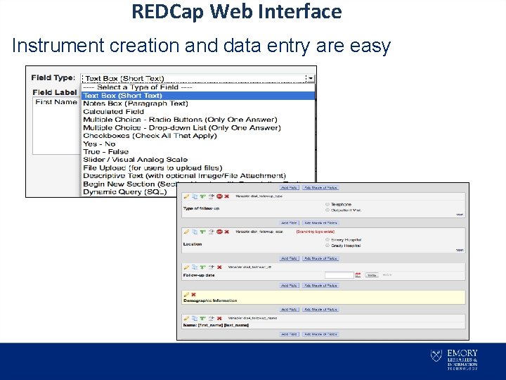 REDCap Web Interface Instrument creation and data entry are easy 
