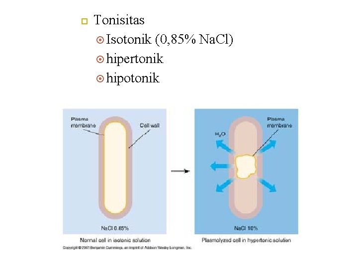  Tonisitas Isotonik (0, 85% Na. Cl) hipertonik hipotonik 
