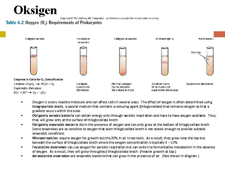 Oksigen • • • Oxygen is a very reactive molecule and can affect cells