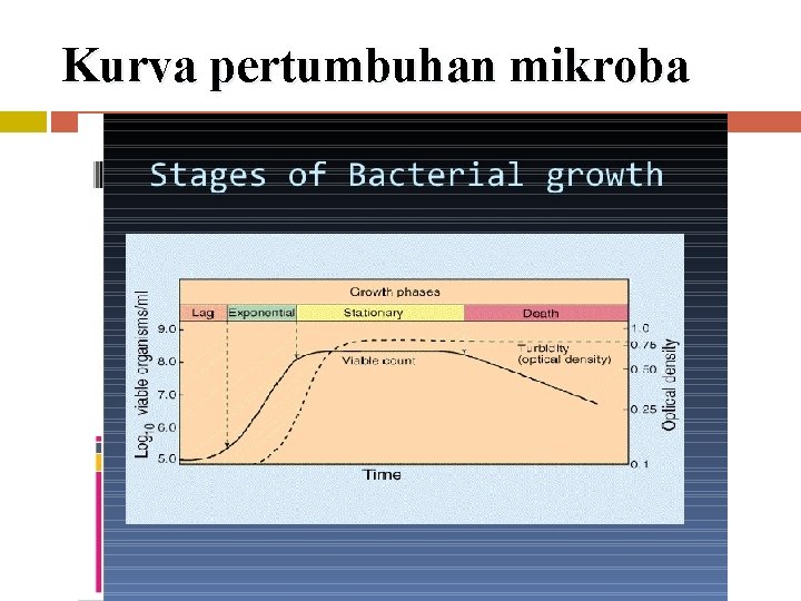 Kurva pertumbuhan mikroba 