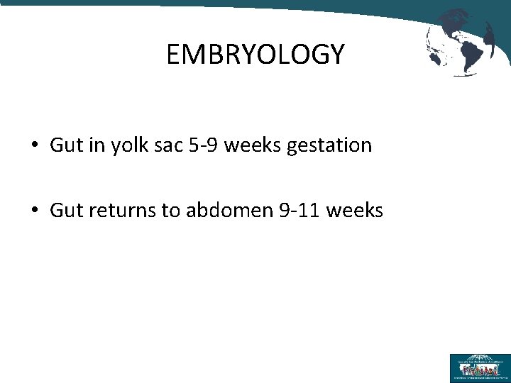 EMBRYOLOGY • Gut in yolk sac 5 -9 weeks gestation • Gut returns to