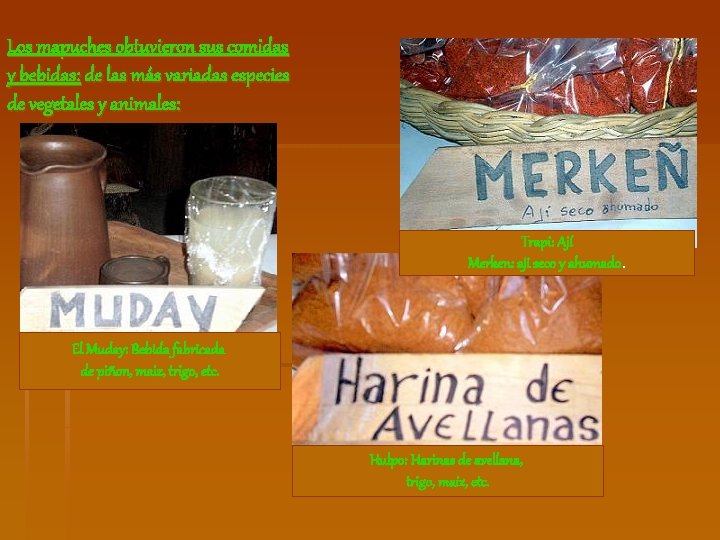 Los mapuches obtuvieron sus comidas y bebidas: de las más variadas especies de vegetales