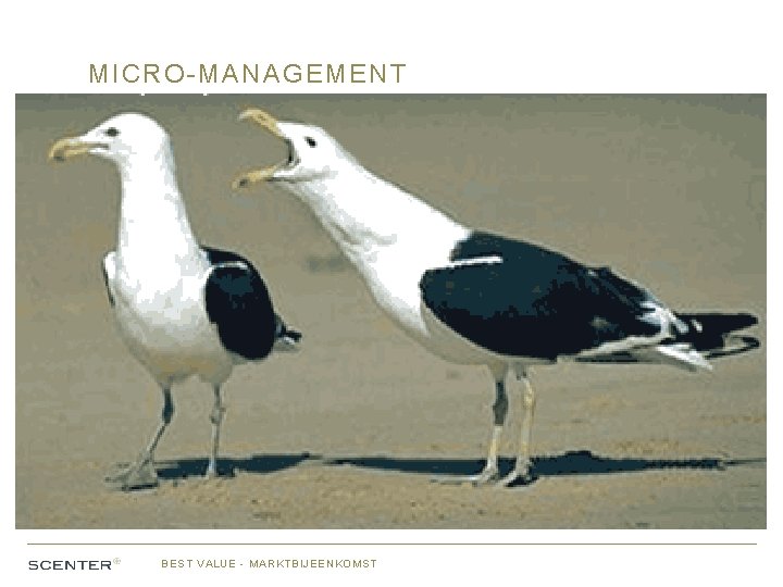 MICRO-MANAGEMENT BEST VALUE - MARKTBIJEENKOMST 