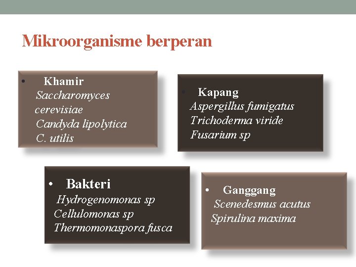 Mikroorganisme berperan • Khamir Saccharomyces cerevisiae Candyda lipolytica C. utilis • Bakteri Hydrogenomonas sp