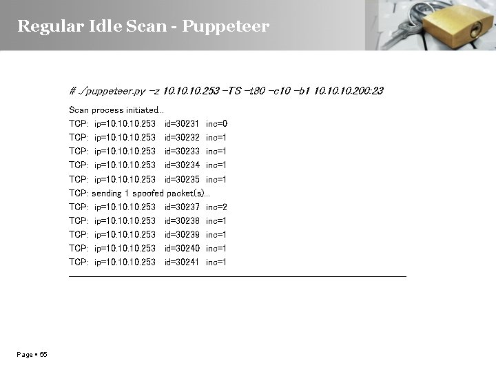 Regular Idle Scan - Puppeteer #. /puppeteer. py –z 10. 10. 253 -TS –t