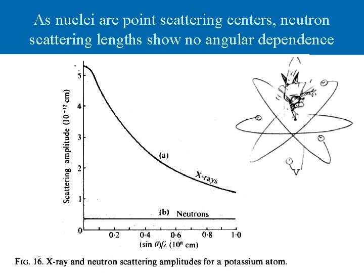 As nuclei are point scattering centers, neutron scattering lengths show no angular dependence 