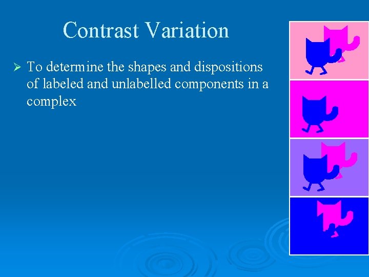 Contrast Variation Ø To determine the shapes and dispositions of labeled and unlabelled components