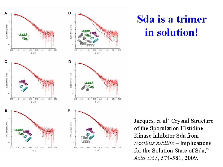 Sda is a trimer in solution! Jacques, et al “Crystal Structure of the Sporulation