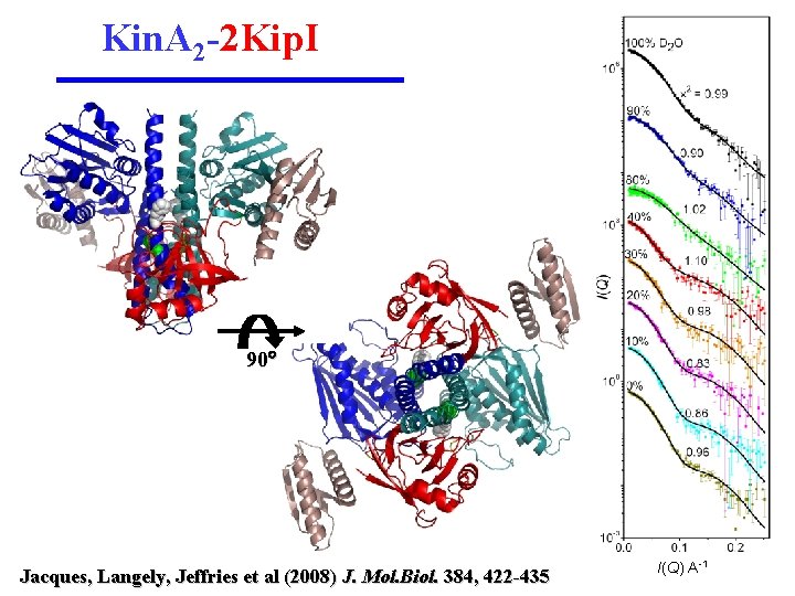 Kin. A 2 -2 Kip. I 90 Jacques, Langely, Jeffries et al (2008) J.