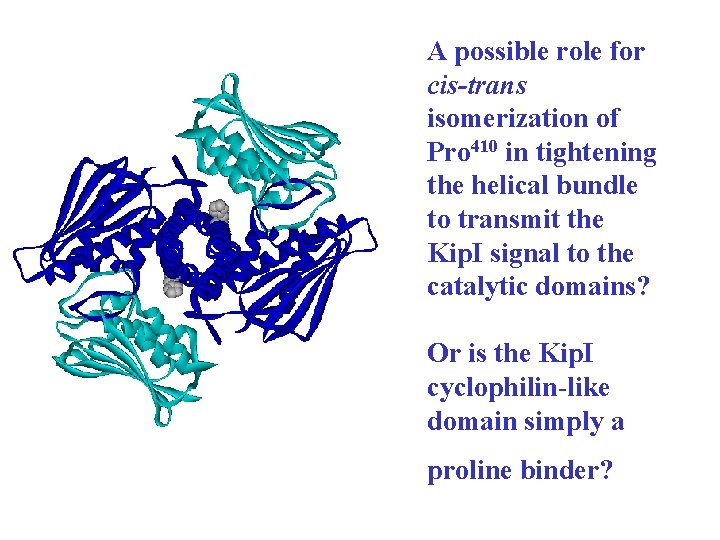 A possible role for cis-trans isomerization of Pro 410 in tightening the helical bundle