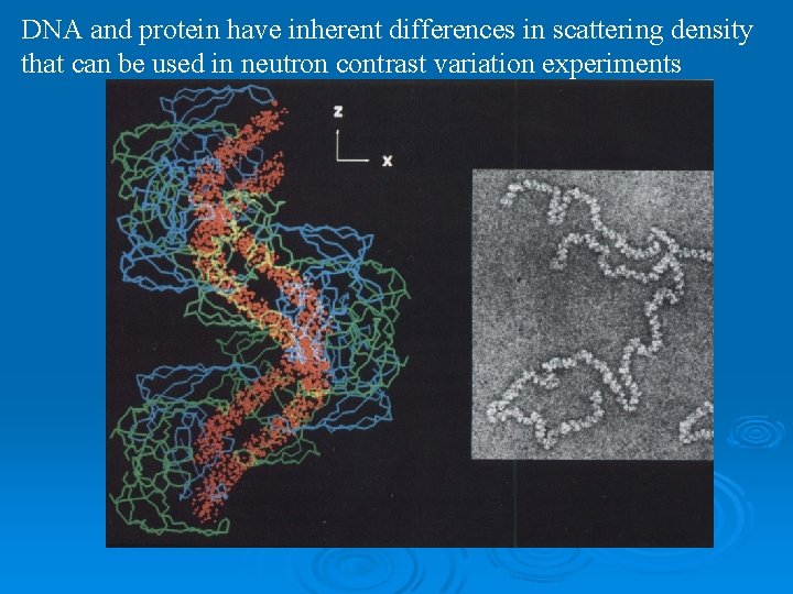 DNA and protein have inherent differences in scattering density that can be used in