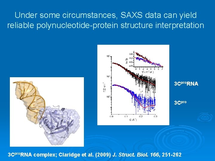 Under some circumstances, SAXS data can yield reliable polynucleotide protein structure interpretation 3 Cpro.