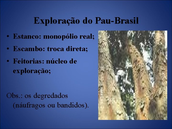 Exploração do Pau-Brasil • Estanco: monopólio real; • Escambo: troca direta; • Feitorias: núcleo