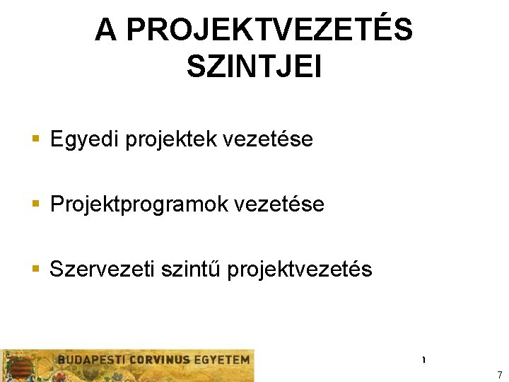 A PROJEKTVEZETÉS SZINTJEI § Egyedi projektek vezetése § Projektprogramok vezetése § Szervezeti szintű projektvezetés