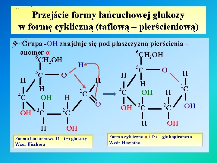 Przejście formy łańcuchowej glukozy w formę cykliczną (taflową – pierścieniową) v Grupa -OH znajduje