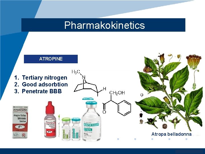 Pharmakokinetics ATROPINE 1. Tertiary nitrogen 2. Good adsorbtion 3. Penetrate BBB Atropa belladonna www.