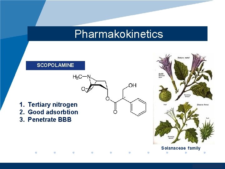 Pharmakokinetics SCOPOLAMINE 1. Tertiary nitrogen 2. Good adsorbtion 3. Penetrate BBB Solanaceae family www.
