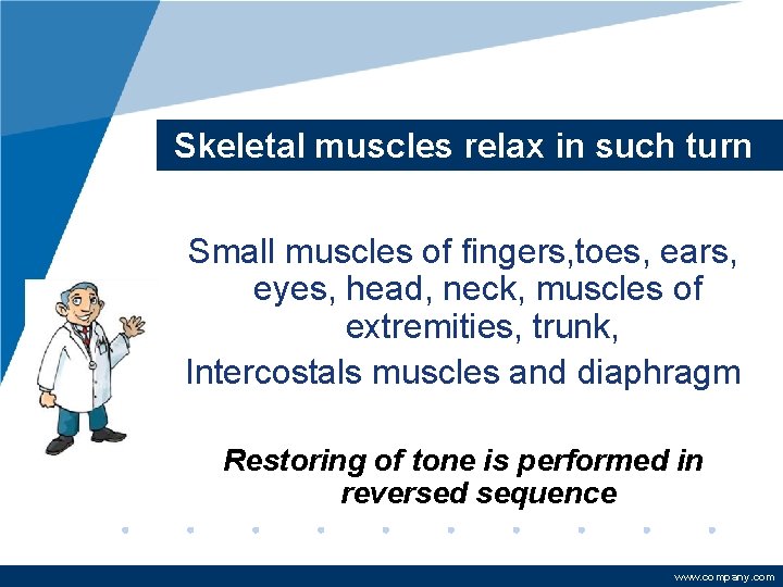 Skeletal muscles relax in such turn Small muscles of fingers, toes, ears, eyes, head,