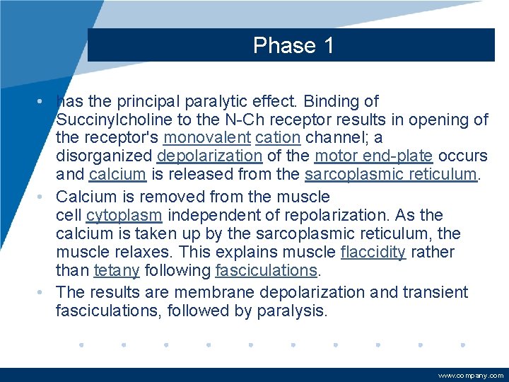 Phase 1 • has the principal paralytic effect. Binding of Succinylcholine to the N-Ch