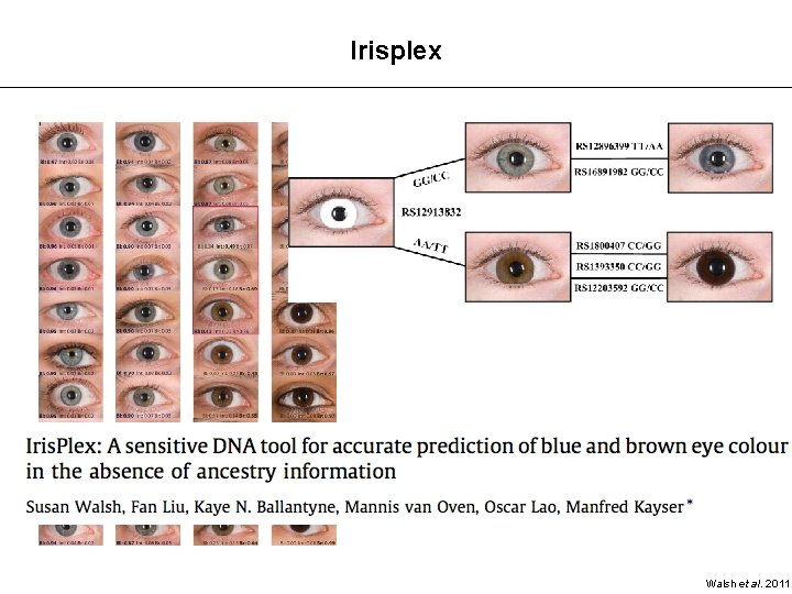 Irisplex Walsh et al. 2011 