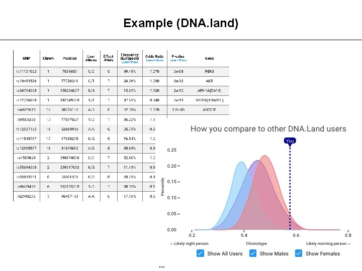 Example (DNA. land) … 