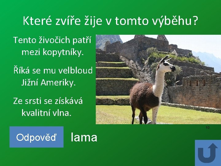 Které zvíře žije v tomto výběhu? Tento živočich patří mezi kopytníky. Říká se mu