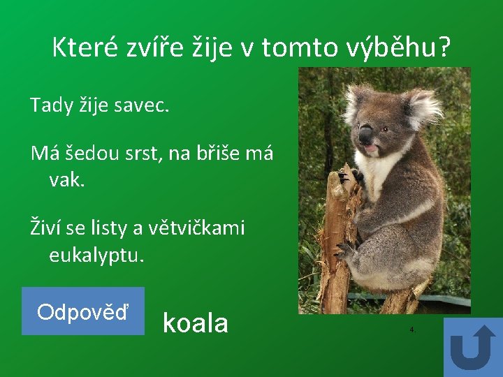 Které zvíře žije v tomto výběhu? Tady žije savec. Má šedou srst, na břiše