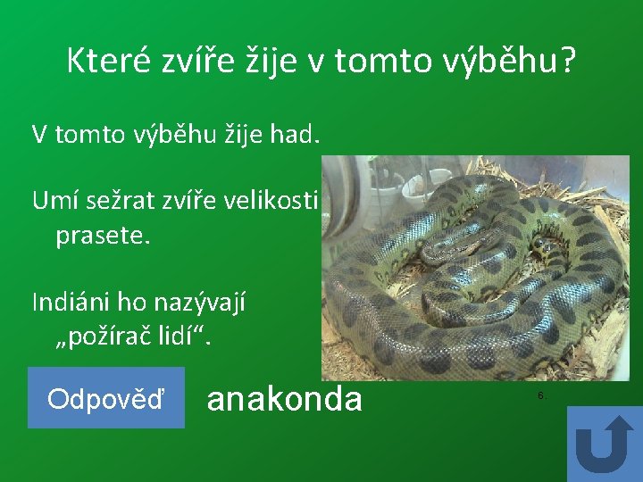 Které zvíře žije v tomto výběhu? V tomto výběhu žije had. Umí sežrat zvíře